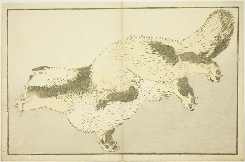 Fox, from The Picture Book of Realistic Paintings of Hokusai (Hokusai shashin gafu)