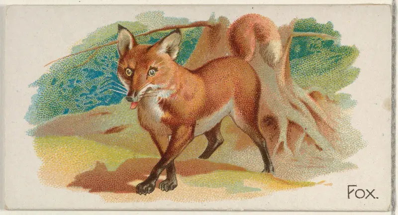 Fox, from the Quadrupeds series (N21) for Allen & Ginter Cigarettes Wall Art by Allen & Ginter - High-Resolution Digital Print