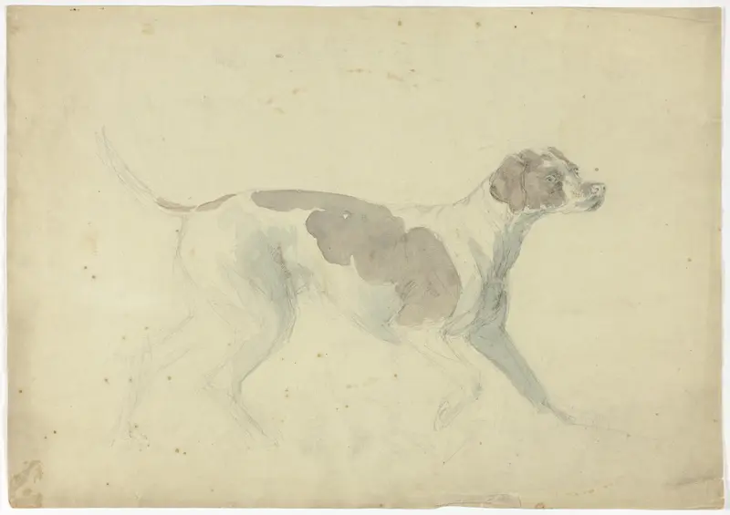 Fox Hound (recto); Sketches of Horse and Rider (verso)