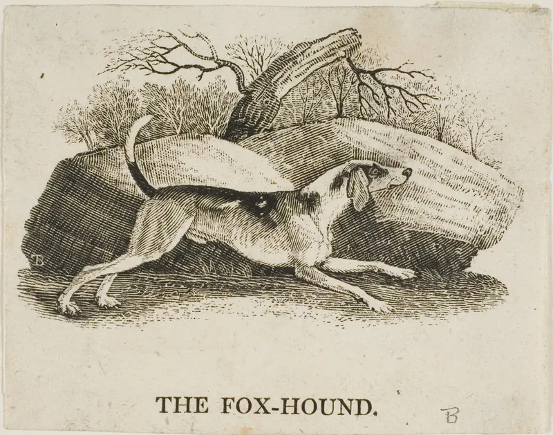 Fox Hound Wall Art by Thomas Bewick - High-Resolution Digital Print