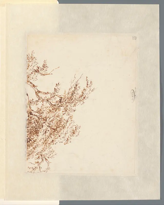 Fragment van een boomstudie Wall Art by Unknown - High-Resolution Digital Print