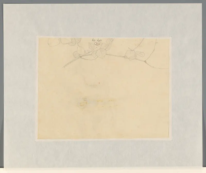 Fragment van plantstudie Wall Art by Theo Nieuwenhuis - High-Resolution Digital Print