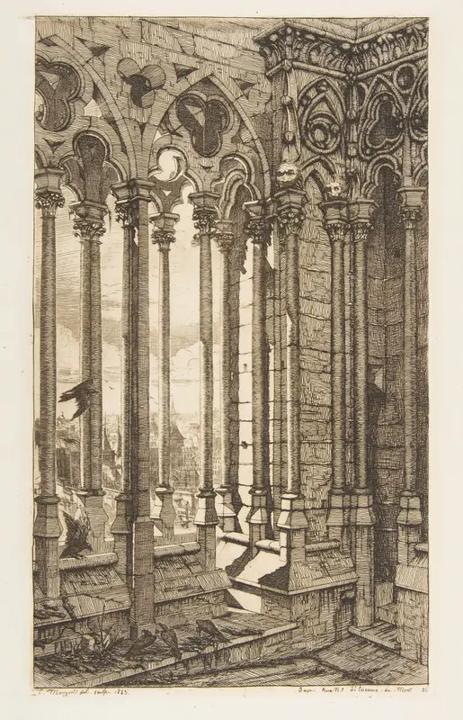 Gallery, Nôtre-Dame Cathedral, Paris Wall Art by Charles Meryon - High-Resolution Digital Print