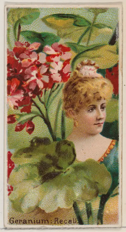 Geranium: Recall, from the series Floral Beauties and Language of Flowers (N75) for Duke brand cigarettes Wall Art by American Tobacco Company - High-Resolution Digital Print