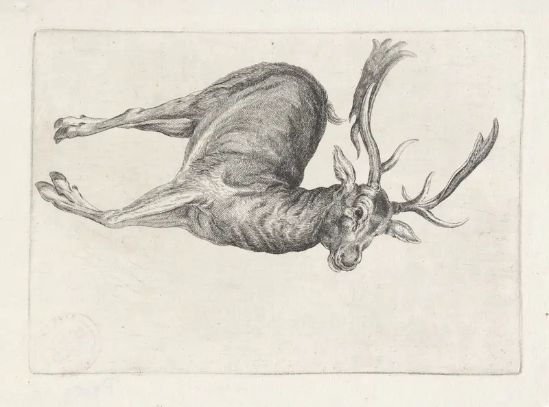 Geschoten wild: een dood hert Wall Art by Wenceslaus Hollar - High-Resolution Digital Print