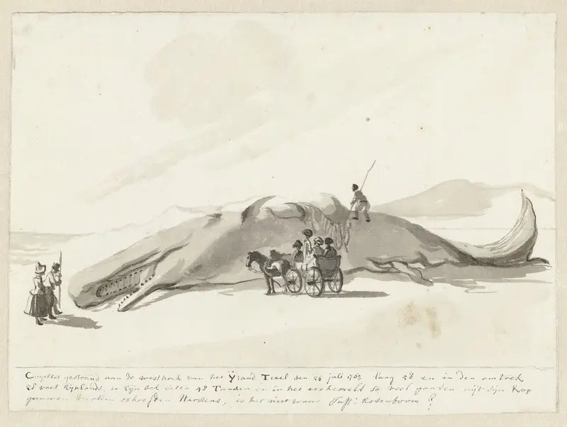 Gestrande walvis op Texel, 1763 Wall Art by Unknown - High-Resolution Digital Print