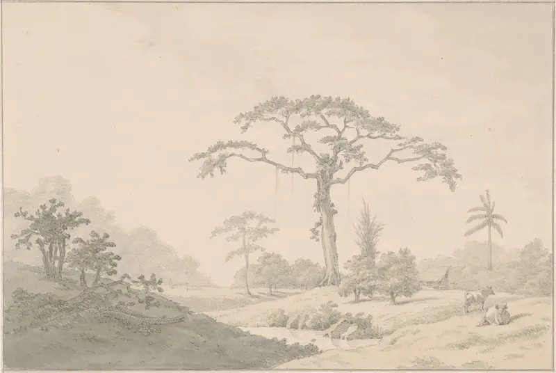 Gezicht bij een hoeve in Suriname Wall Art by Nicolaas Box - High-Resolution Digital Print