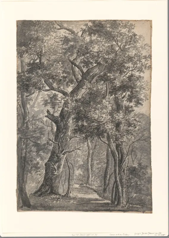 Gezicht in bos Wall Art by Georgius Jacobus Johannes van Os - High-Resolution Digital Print