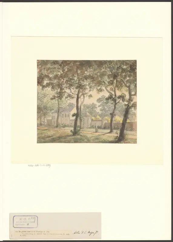 Gezicht in de Plantage Wall Art by Unknown - High-Resolution Digital Print