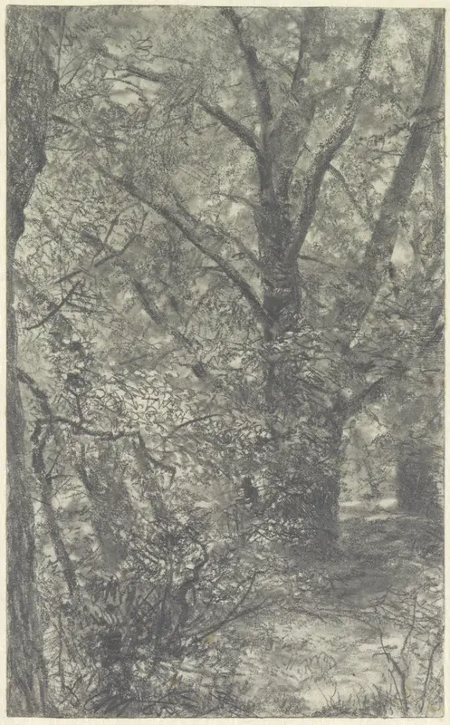Gezicht in het bos, op een bospad, langs een wijdvertakte oude boom Wall Art by Adolph Menzel - High-Resolution Digital Print
