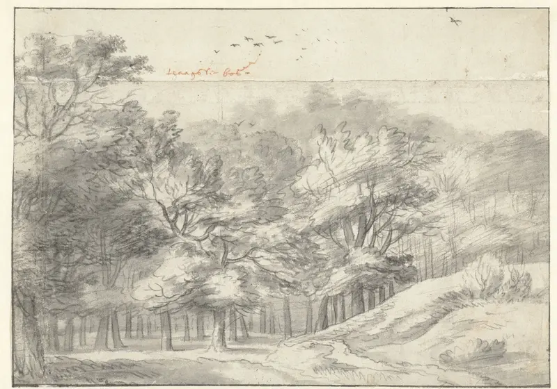 Gezicht in het Haagse Bos Wall Art by Roelant Roghman - High-Resolution Digital Print
