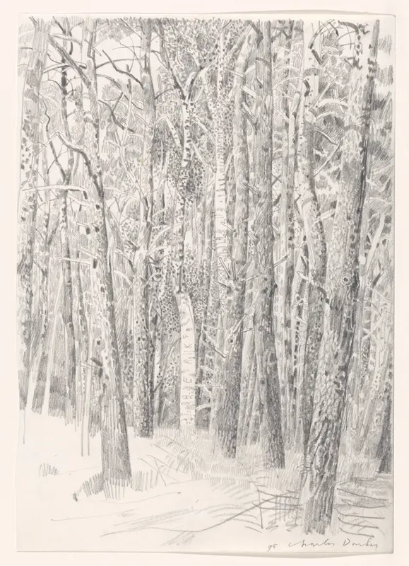 Gezicht op een bos met berken Wall Art by Unknown - High-Resolution Digital Print