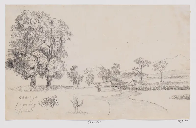 Gezicht te Cibodas met twee mangobomen, West-Java Wall Art by Adrianus Johannes Bik - High-Resolution Digital Print