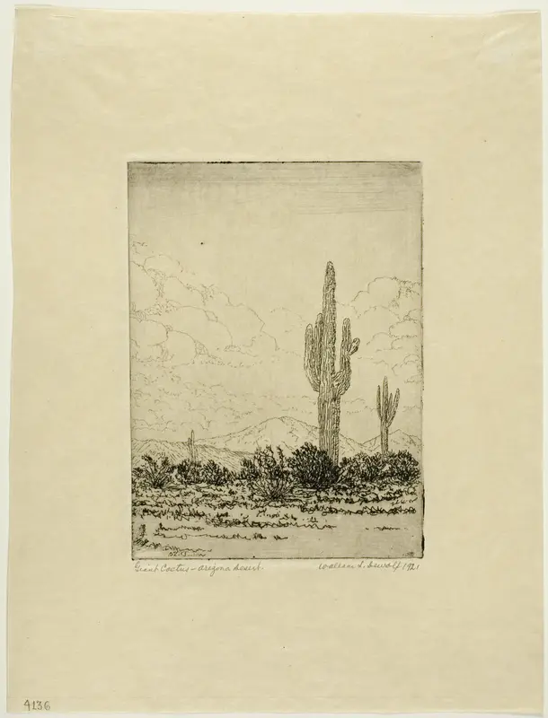 Giant Cactus, Arizona Desert
