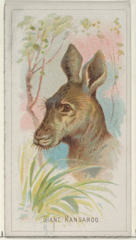Giant Kangaroo, from the Wild Animals of the World series (N25) for Allen & Ginter Cigarettes Wall Art by Allen & Ginter - High-Resolution Digital Print