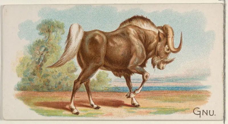 Gnu, from the Quadrupeds series (N21) for Allen & Ginter Cigarettes Wall Art by Allen & Ginter - High-Resolution Digital Print