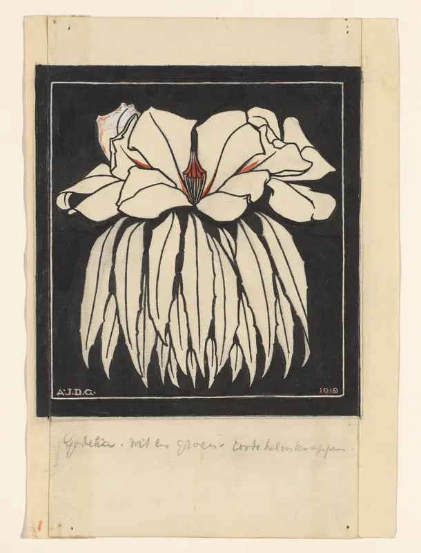 Godetia Wall Art by Unknown - High-Resolution Digital Print