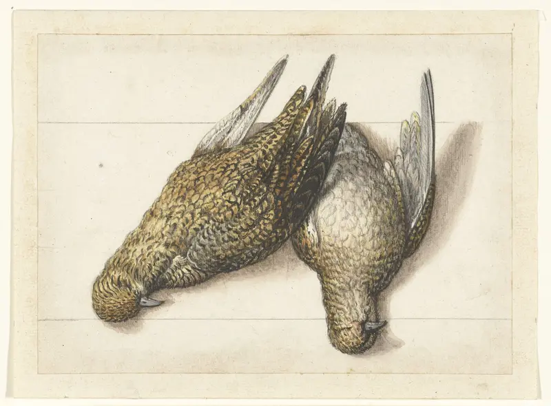 Goudplevier Wall Art by anonymous - High-Resolution Digital Print