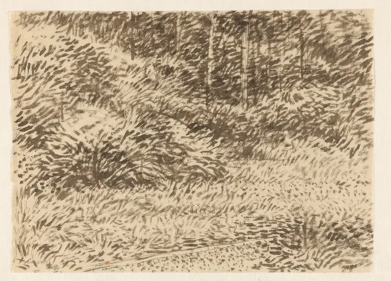 Gras, struikgewas en bomen Wall Art by Unknown - High-Resolution Digital Print