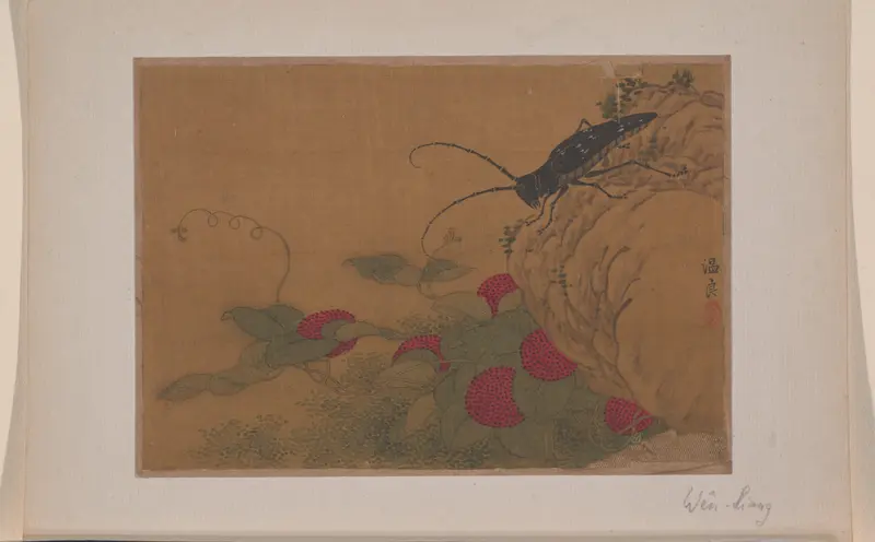 Grasshopper on Rock Wall Art by Wen Liang - High-Resolution Digital Print