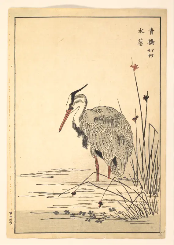 Gray Heron (Aosagi) and Mizu-aoi Plant