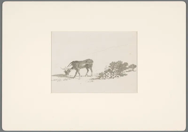 Grazend kalf bij planten Wall Art by David Alphonse de Sandoz-Rollin - High-Resolution Digital Print