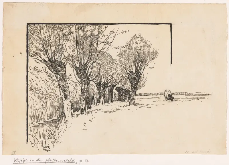 Grazende koe en wilgen langs een sloot Wall Art by Unknown - High-Resolution Digital Print