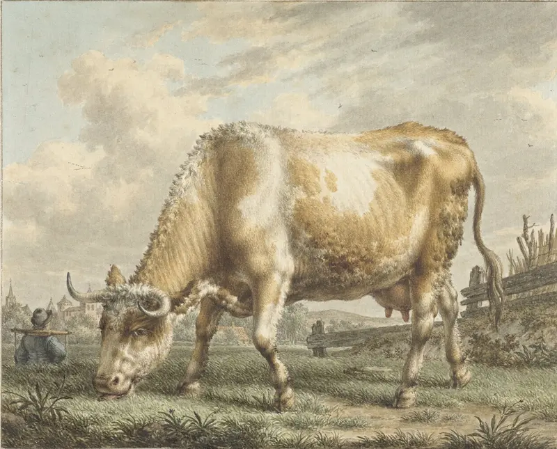 Grazende koe Wall Art by Jacob Cats (1741-1799) - High-Resolution Digital Print