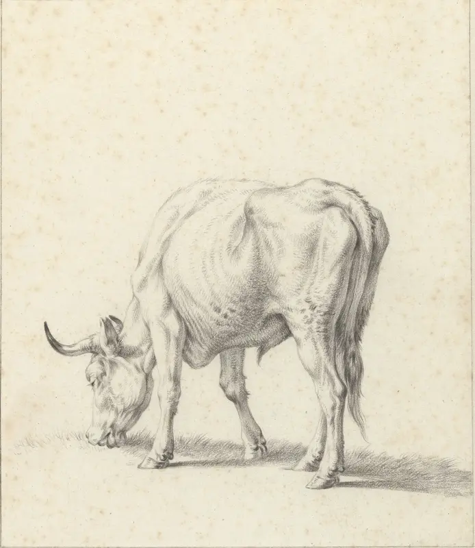 Grazende stier Wall Art by Jan Kobell (II) - High-Resolution Digital Print