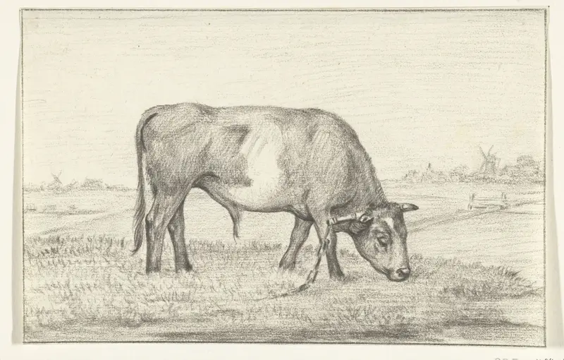 Grazende stier in een wei, naar rechts Wall Art by Jean Bernard - High-Resolution Digital Print