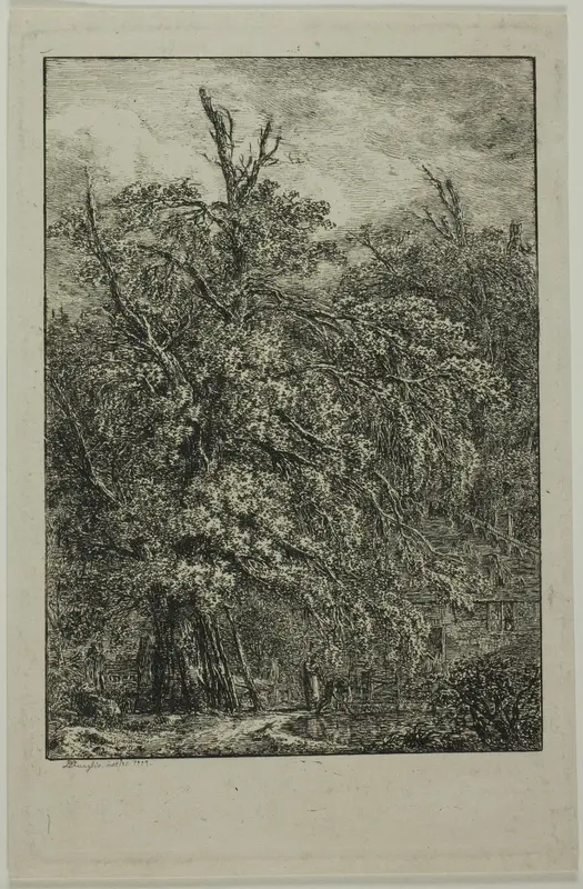 Great Tree Wall Art by Domenico Quaglio - High-Resolution Digital Print
