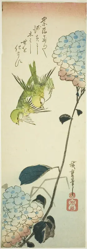 Green birds and hydrangeas