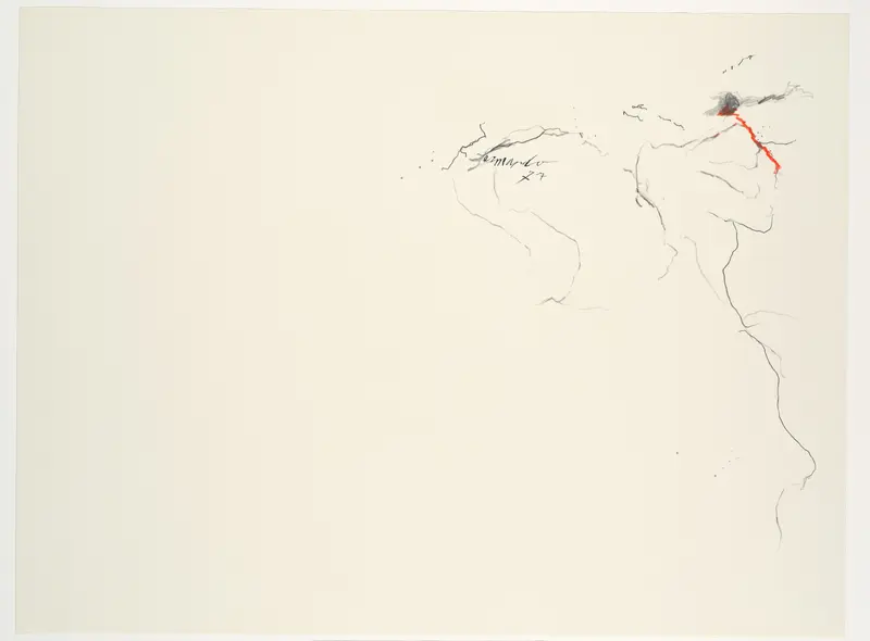 Grillige lijnen Wall Art by Unknown - High-Resolution Digital Print
