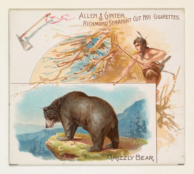 Grizzly Bear, from Quadrupeds series (N41) for Allen & Ginter Cigarettes Wall Art by Allen & Ginter - High-Resolution Digital Print