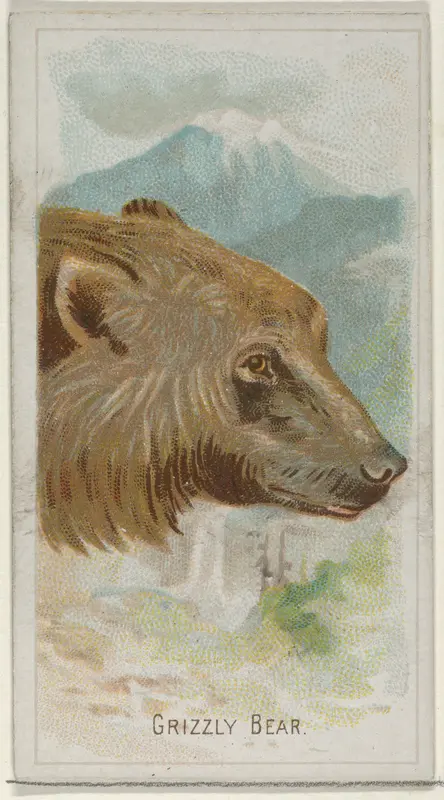 Grizzly Bear, from the Wild Animals of the World series (N25) for Allen & Ginter Cigarettes Wall Art by Allen & Ginter - High-Resolution Digital Print
