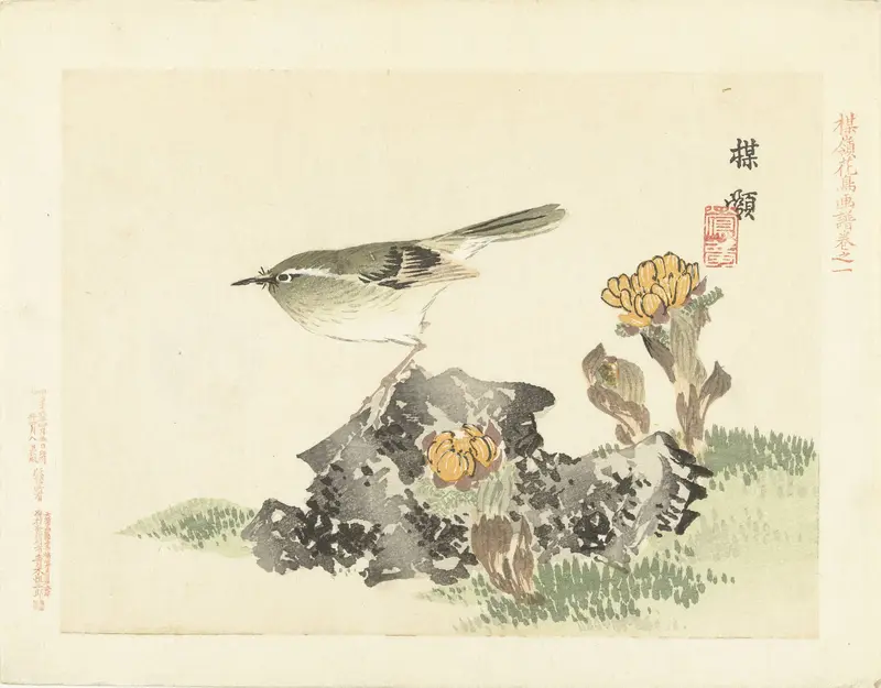 Groene vogel Wall Art by Unknown - High-Resolution Digital Print