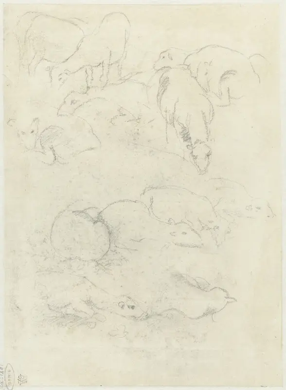 Groepen grazende en liggende schapen Wall Art by Federico Barocci - High-Resolution Digital Print