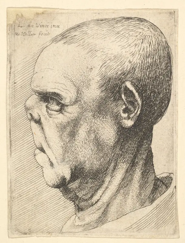 Grotesque old man with flattened nose in profile to left Wall Art by Wenceslaus Hollar - High-Resolution Digital Print