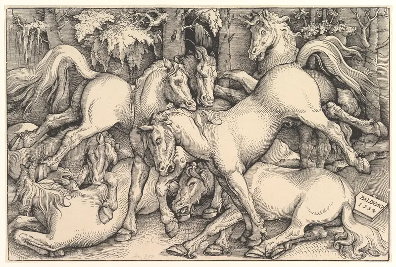 Group of Seven Horses Wall Art by Hans Baldung (called Hans Baldung Grien) - High-Resolution Digital Print