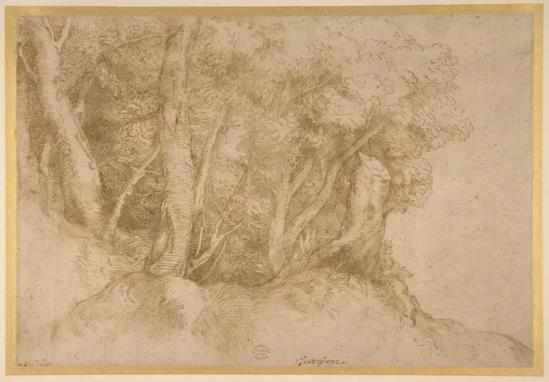 Group of Trees Wall Art by Titian (Tiziano Vecellio) - High-Resolution Digital Print