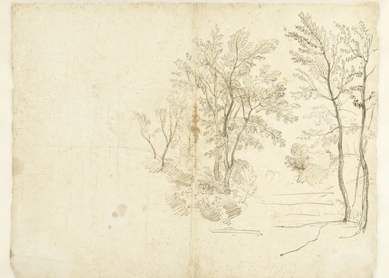 Group of Trees in the Roman Campagna Wall Art by Caspar van Wittel - High-Resolution Digital Print