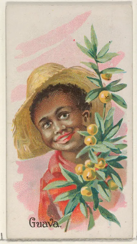 Guava, from the Fruits series (N12) for Allen & Ginter Cigarettes Brands Wall Art by Allen & Ginter - High-Resolution Digital Print