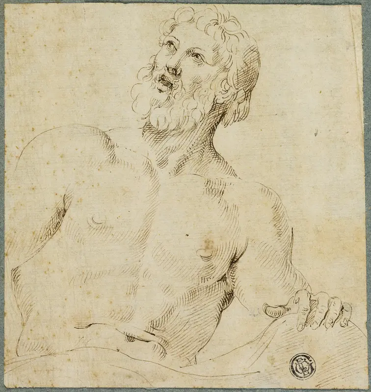 Half-length Sketch of Bearded Man (Jupiter?) Wall Art by Battista Franco - High-Resolution Digital Print