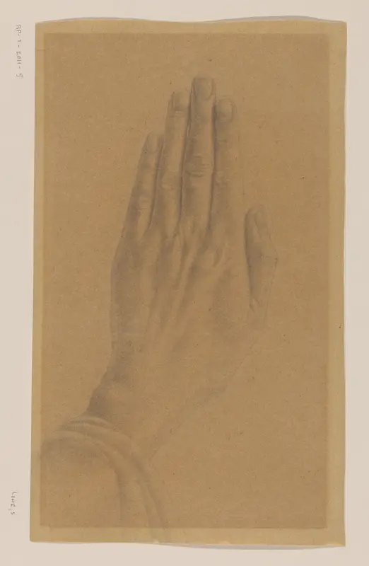 Hand Wall Art by Sally Lohr - High-Resolution Digital Print