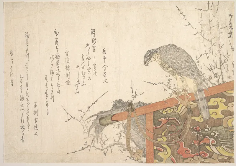 Hawk Tied to Perch