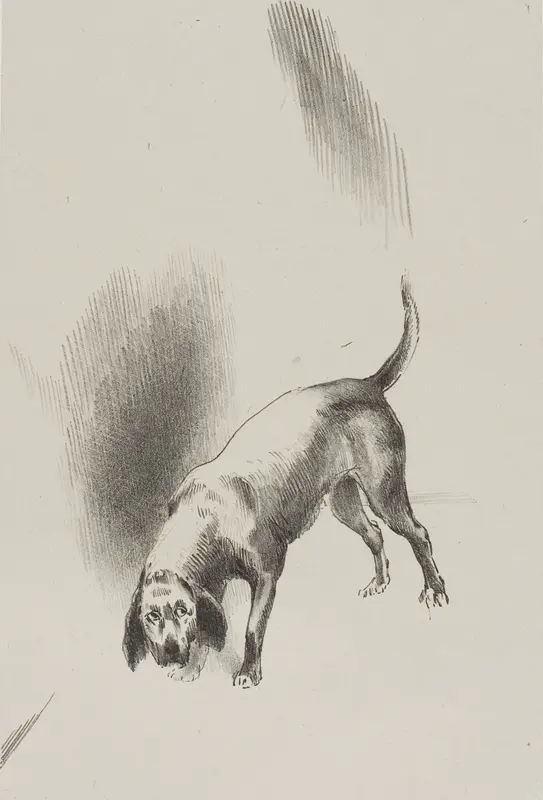 He [The Narrator's Dog] Kept His Eyes Fixed on Me With a Look So Strange, plate 3 of 6