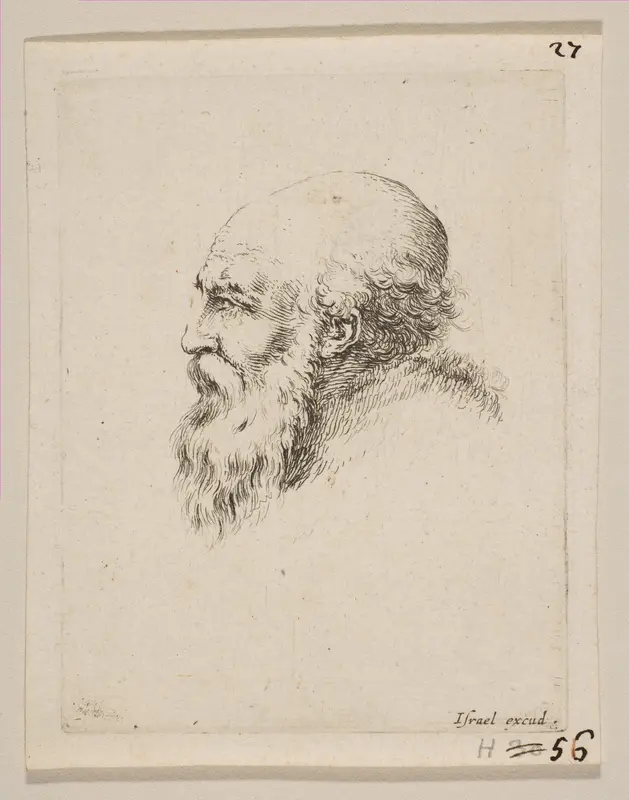 Head of a Bald and Bearded Old Man in Profile, from 'Various heads and figures' (Diverses tétes et figures) Wall Art by Stefano della Bella - High-Resolution Digital Print