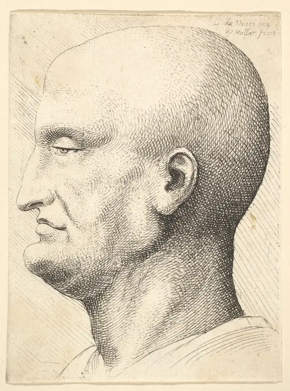 Head of a bald man in profile to left Wall Art by Wenceslaus Hollar - High-Resolution Digital Print