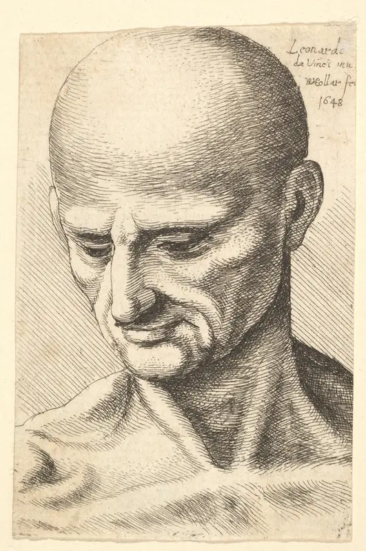 Head of a bald, sinewy man looking downwards Wall Art by Wenceslaus Hollar - High-Resolution Digital Print