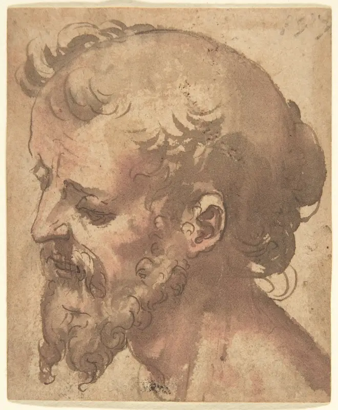 Head of a Bearded Man Wall Art by Anonymous, Italian, Sienese, 16th century - High-Resolution Digital Print